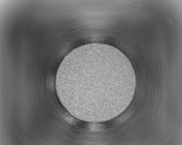 X0000066950336200604142056