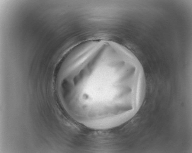 X0000066950338200604142055