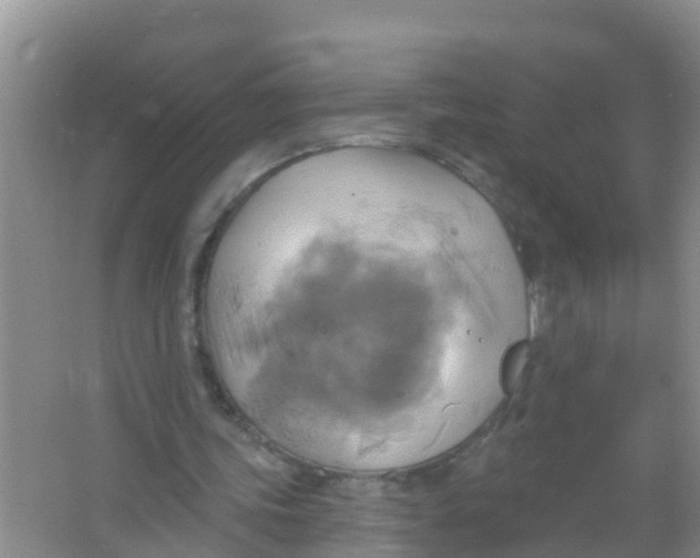 X0000066950339200604142055