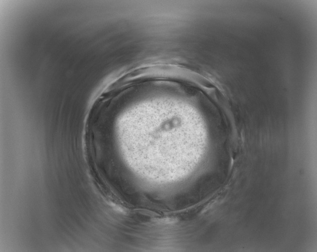 X0000066950340200604142055