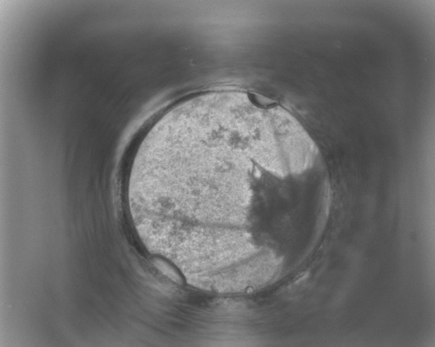 X0000066950343200604142055