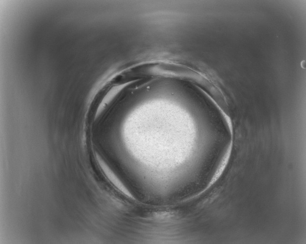 X0000066950344200604142055