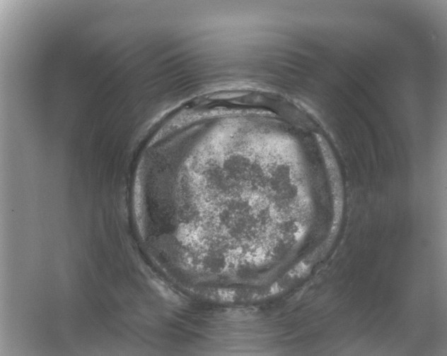 X0000066950345200604142055