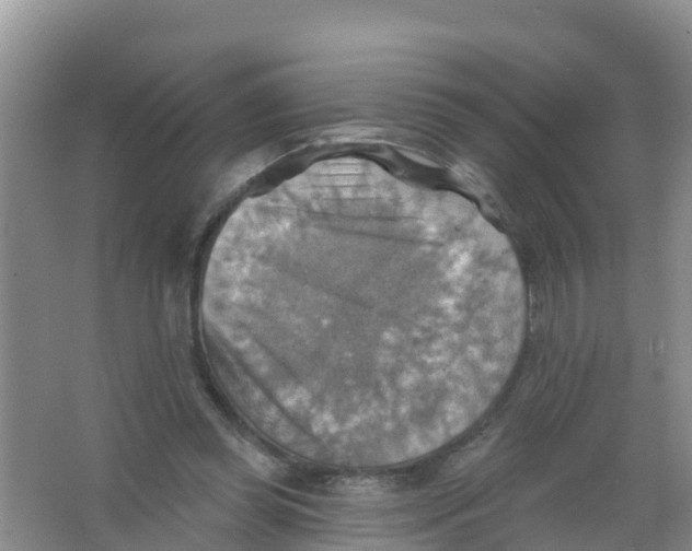 X0000066950349200604142055