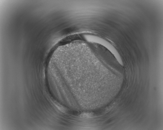 X0000066950350200604142055