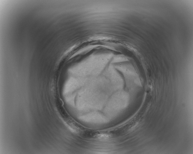 X0000066950352200604142055