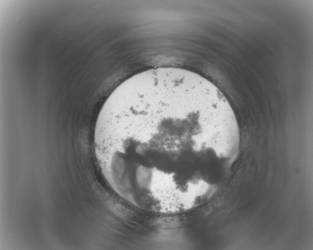 X0000066950353200604142055