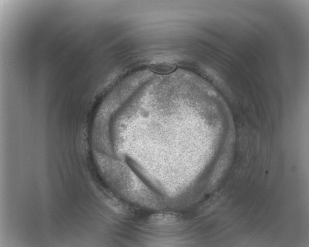 X0000066950354200604142055