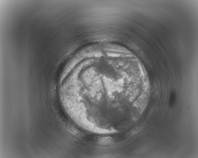 X0000066950355200604142055