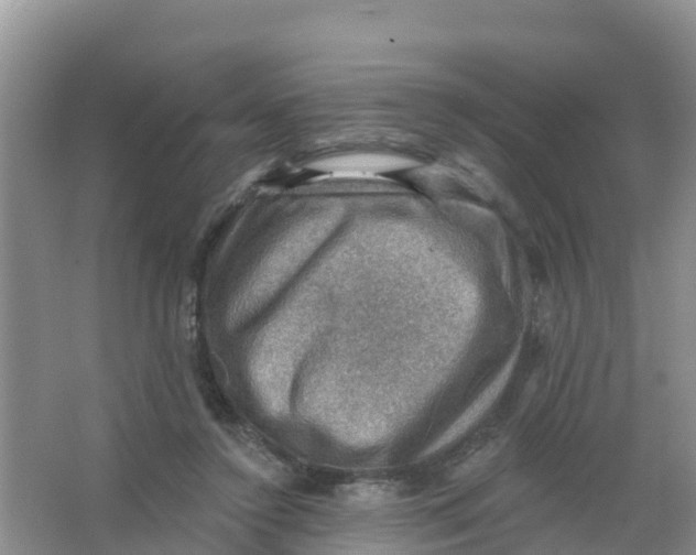 X0000066950356200604142055