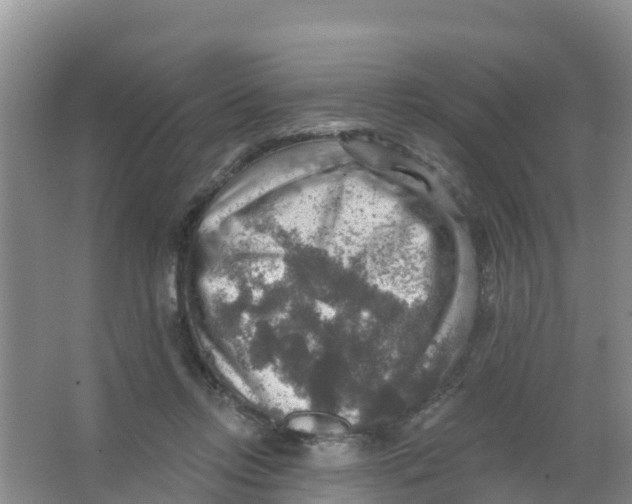 X0000066950358200604142055