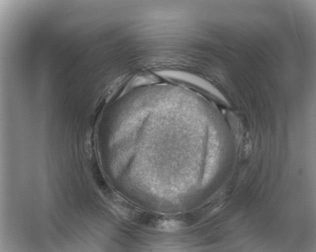 X0000066950360200604142055