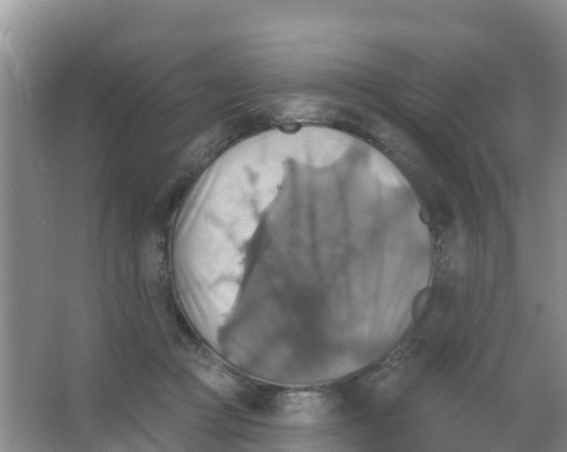 X0000066950361200604142055