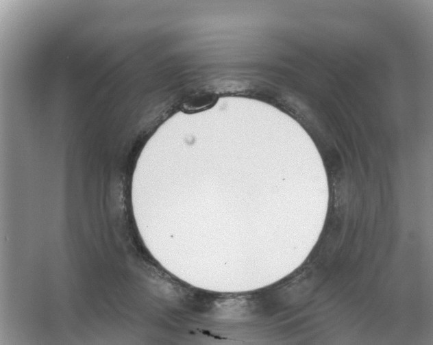 X0000066950362200604142055