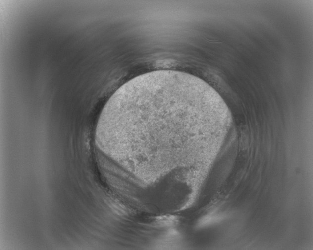 X0000066950363200604142055