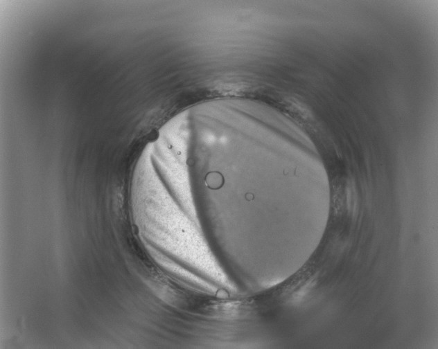 X0000066950365200604142055