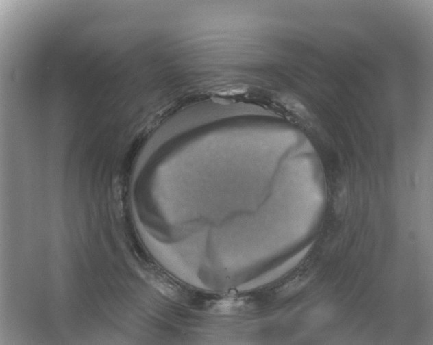 X0000066950366200604142055