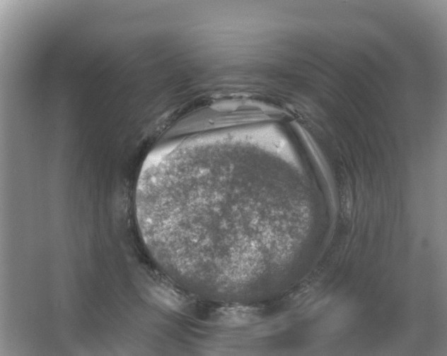 X0000066950367200604142055