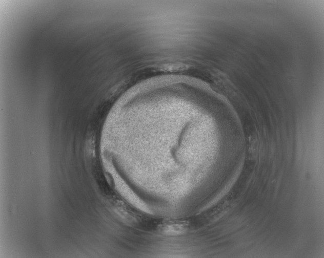 X0000066950368200604142055