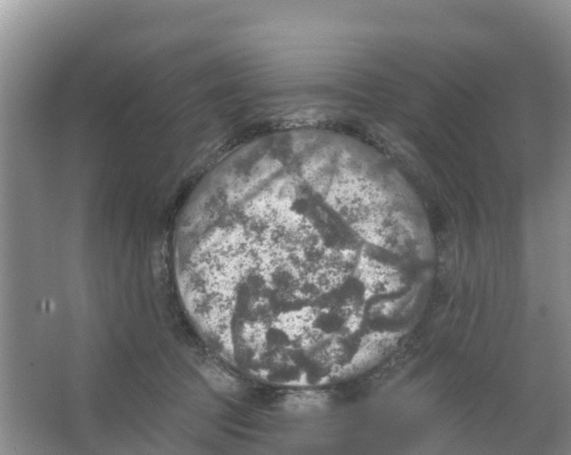 X0000066950369200604142055