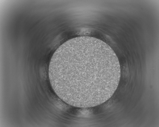 X0000066950370200604142055