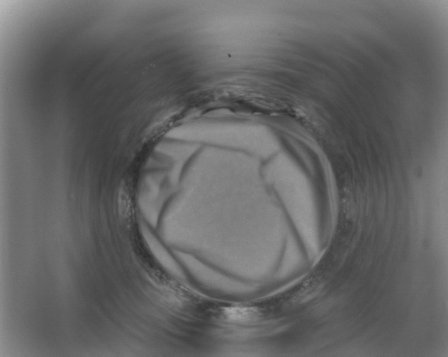 X0000066950371200604142055