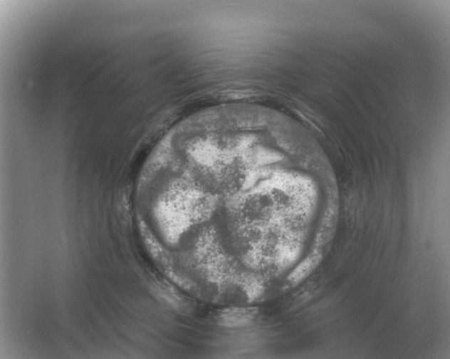 X0000066950373200604142055