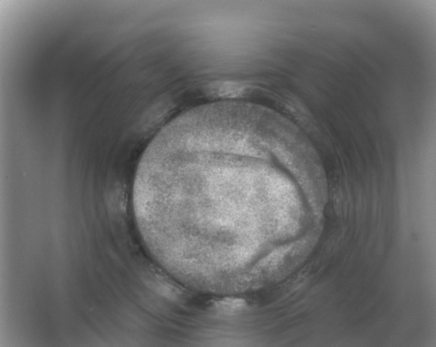 X0000066950374200604142055