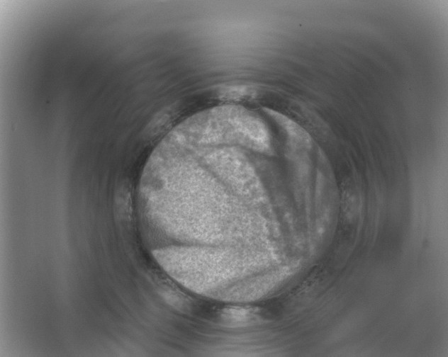 X0000066950375200604142055