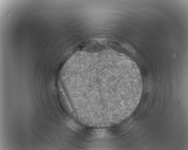 X0000066950377200604142055