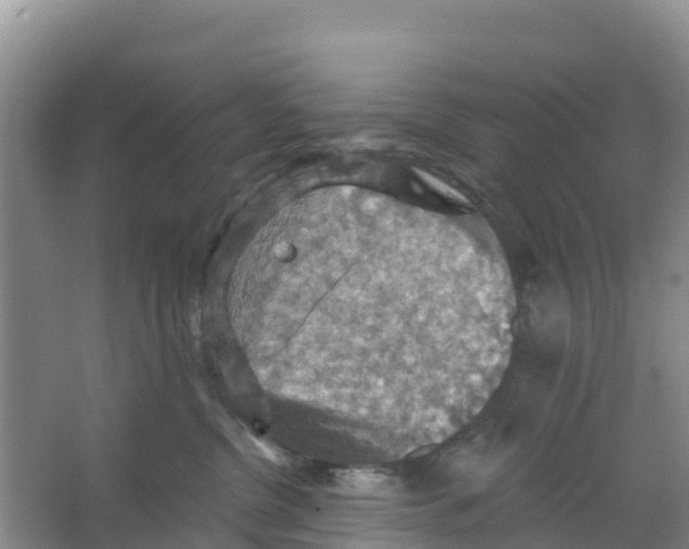 X0000066950380200604142055