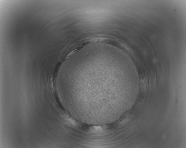 X0000066950381200604142056