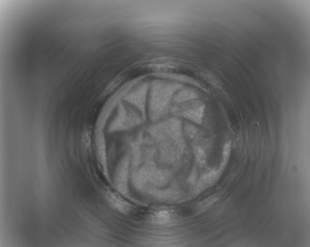 X0000066950382200604142056