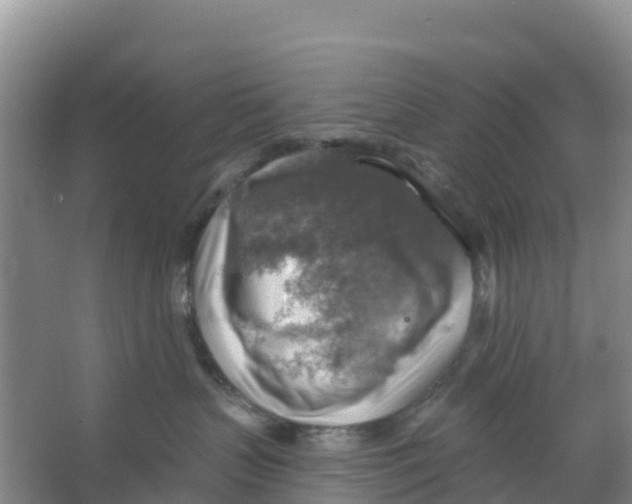 X0000066950383200604142056