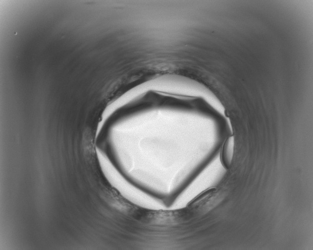 X0000066950384200604142056