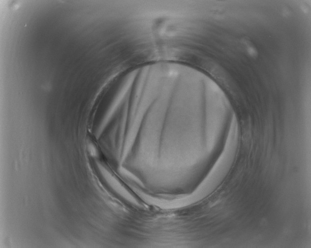 X0000066950386200604142055