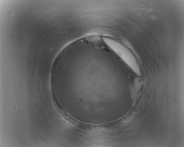 X0000066950387200604142055