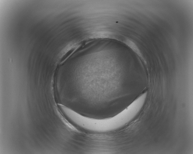 X0000066950389200604142055