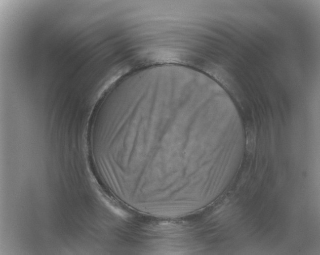 X0000066950390200604142055