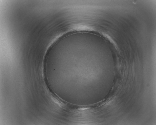 X0000066950391200604142055