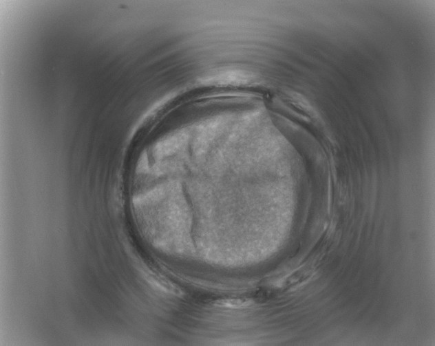 X0000066950392200604142055