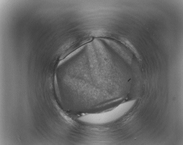 X0000066950393200604142055