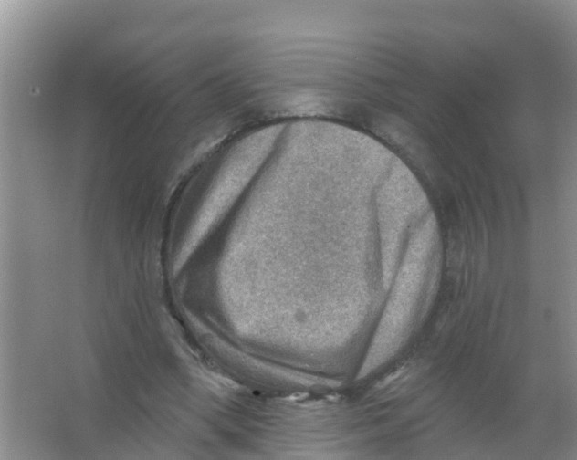 X0000066950394200604142055