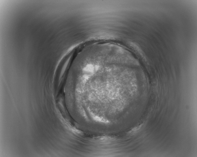 X0000066950395200604142055