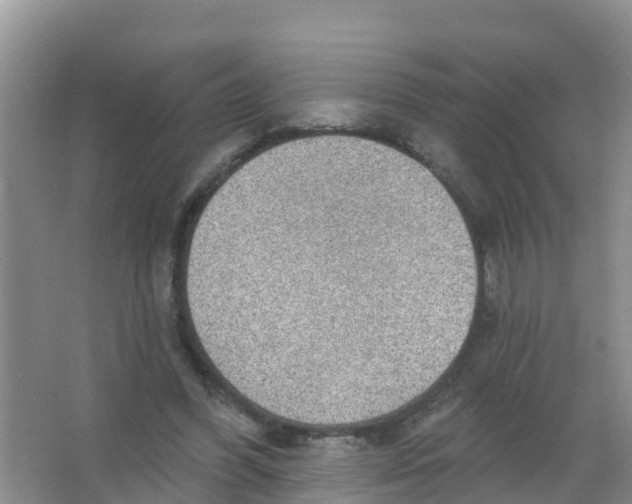 X0000066950396200604142055