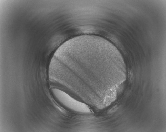 X0000066950397200604142055