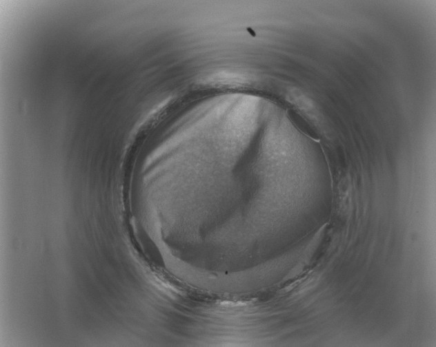 X0000066950399200604142055