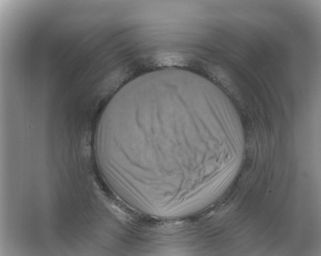 X0000066950402200604142054