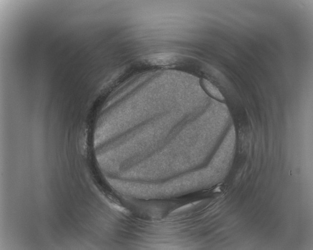 X0000066950404200604142054