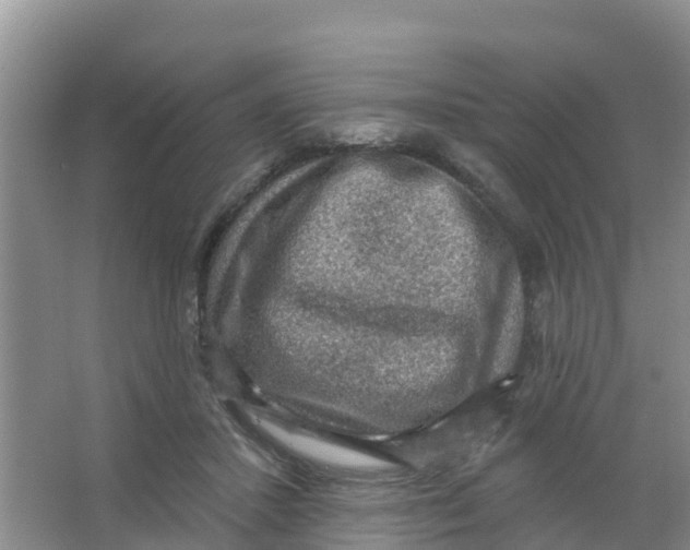 X0000066950407200604142054